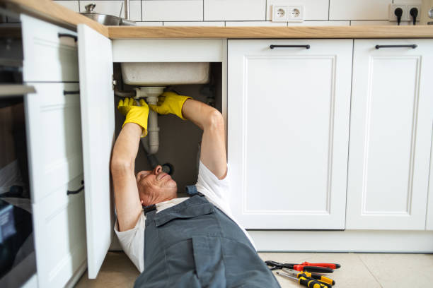 Best Local Plumber Services  in Holgate, OH