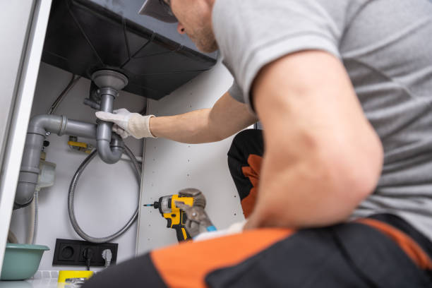  Holgate, OH Plumbing Pros